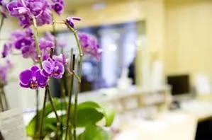 Отель Centro Sautter City, Trademark Collection By Wyndham